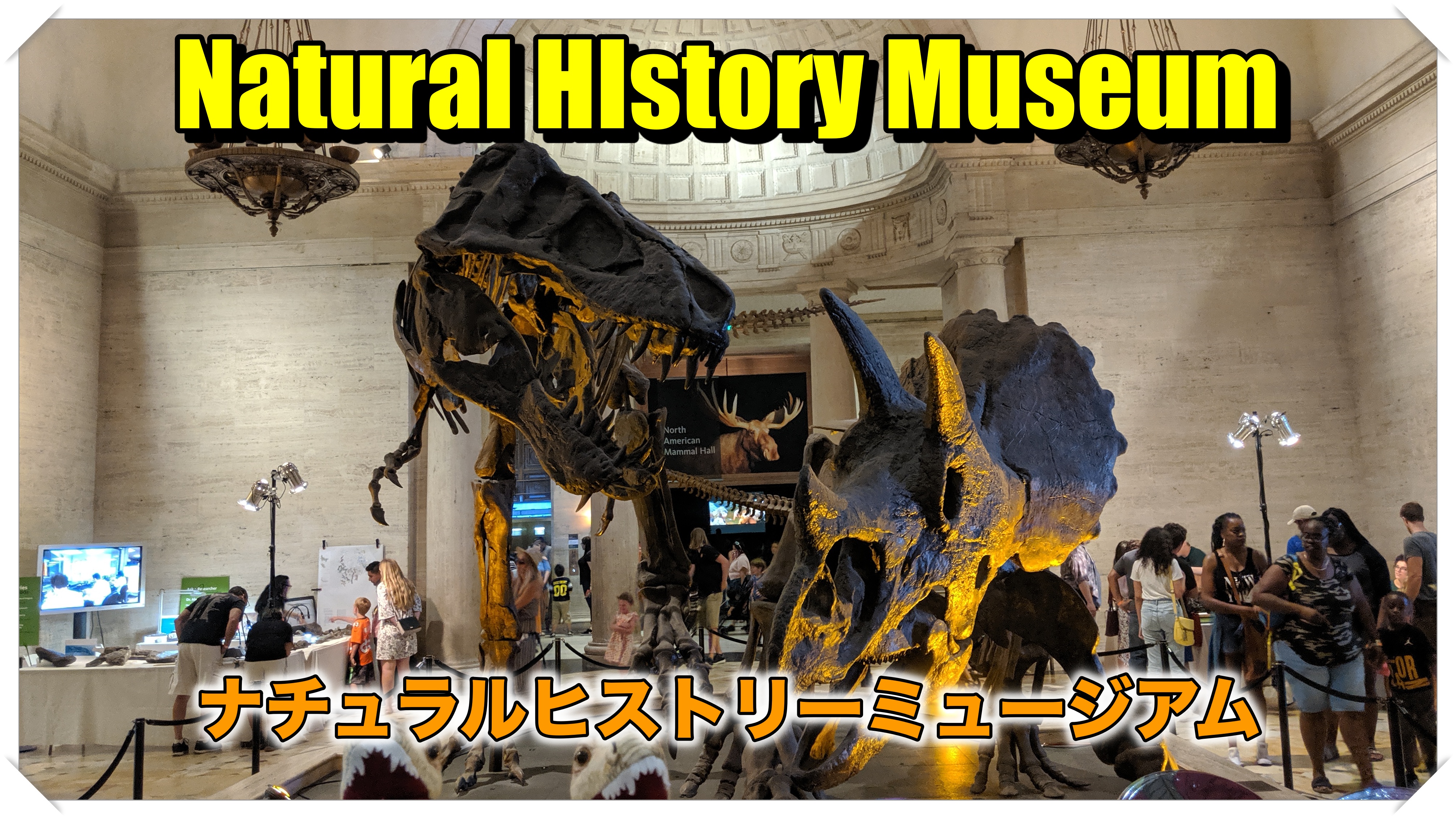 ロサンゼルス観光 自然史博物館ナチュラルヒストリーミュージアムに行く ロサンゼルス観光 エンタメ情報